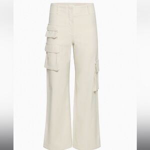 Aritzia Wilfred Free Picture Cargo Pant